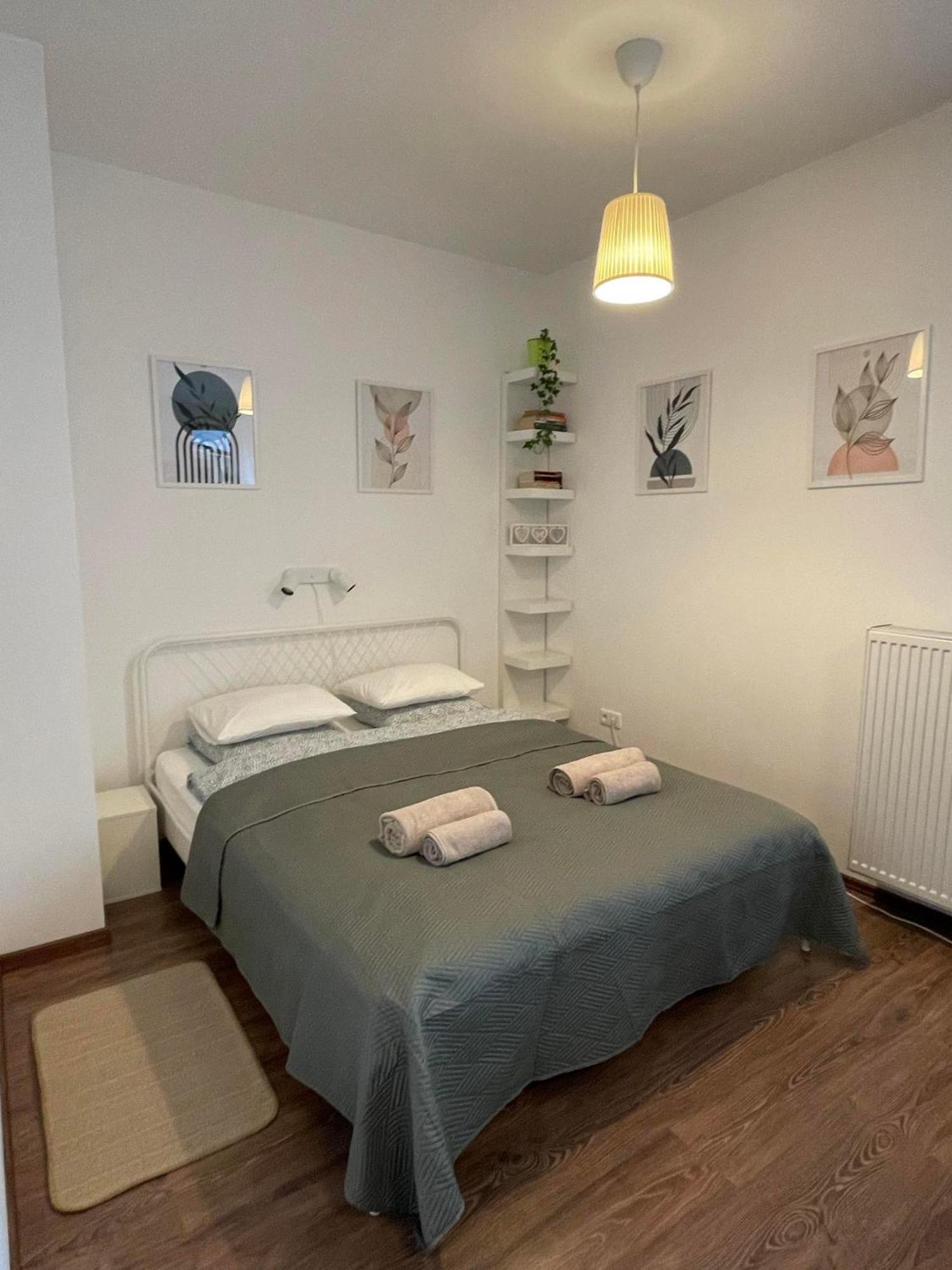Green City Apartment Budapest - Free Garage, Ac, Balcony, Wi-Fi ブダペスト エクステリア 写真